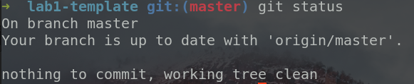 git status